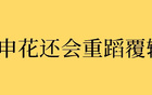 中超8輪后，申花成績穩(wěn)定20分，今年與去年對比，結(jié)果會否重演？
