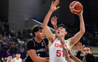 王治郅指出楊瀚森需解決核心問題，否則難在NBA立足