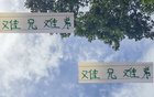 難兄難弟，京安韓佳奇與滬港王振澳同赴德康復(fù)