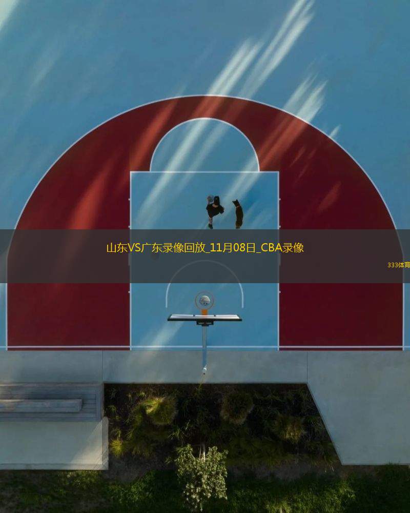 CBA常規(guī)賽山東112-88廣東