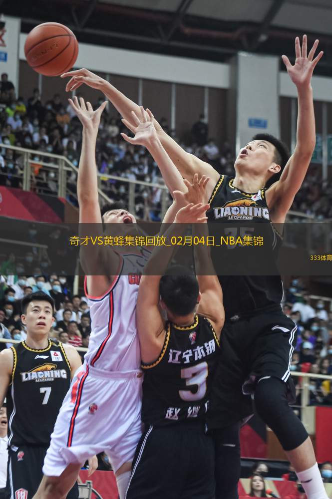 02月04日NBA常規(guī)賽 奇才 - 黃蜂 精彩鏡頭