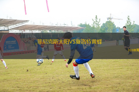 菲尼克斯太陽VS夏洛特黃蜂