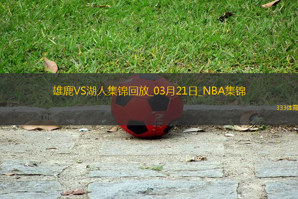 03月21日NBA常規(guī)賽 雄鹿 - 湖人 精彩鏡頭