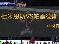 杜米恩斯VS帕雷德斯