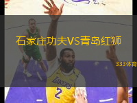 石家莊功夫VS青島紅獅