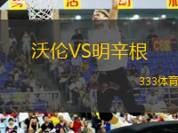 沃倫VS明辛根