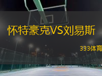 懷特豪克VS劉易斯