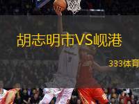 胡志明市VS峴港