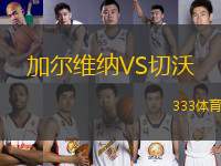 加爾維納VS切沃
