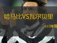 哈馬比VS瓦爾貝里