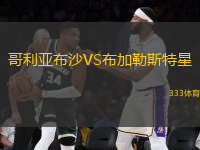 哥利亞布沙VS布加勒斯特星