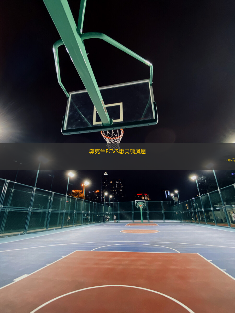 奧克蘭FCVS惠靈頓鳳凰