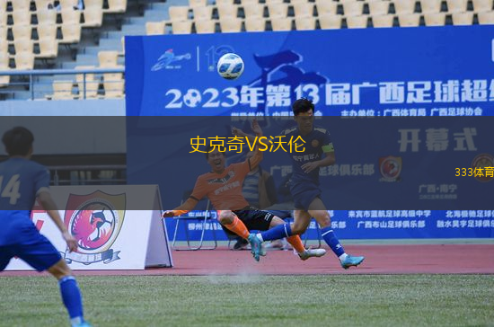 史克奇VS沃倫