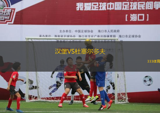 漢堡VS杜塞爾多夫