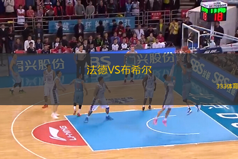 法德VS布希爾