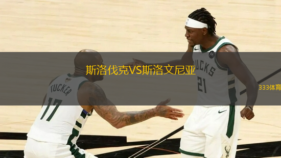斯洛伐克VS斯洛文尼亞