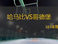 哈馬比VS哥德堡