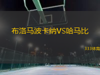 布洛馬波卡納VS哈馬比