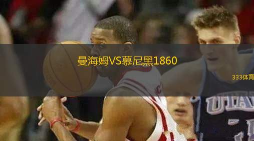 曼海姆VS慕尼黑1860