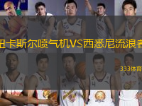 紐卡斯?fàn)枃姎鈾CVS西悉尼流浪者