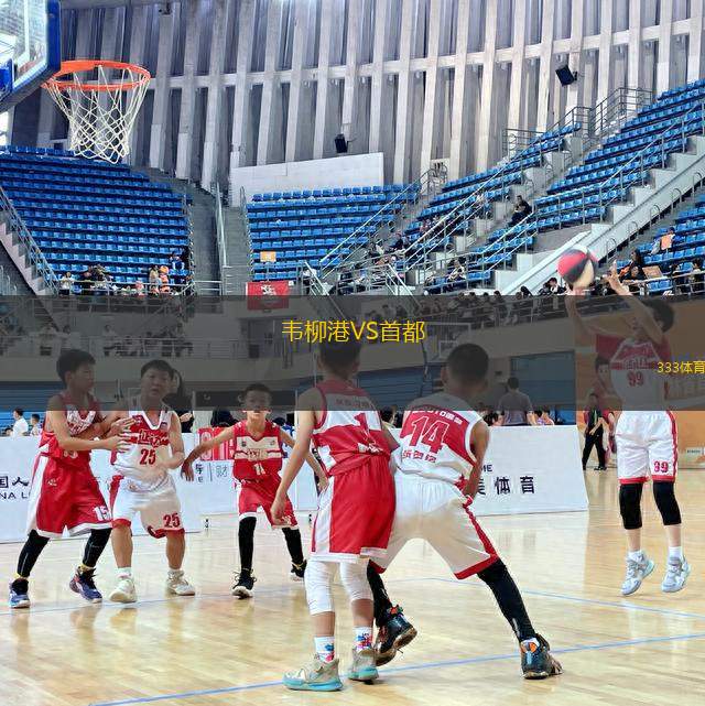 韋柳港VS首都