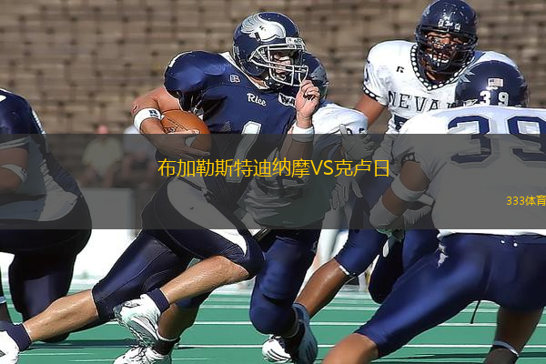 布加勒斯特迪納摩VS克盧日