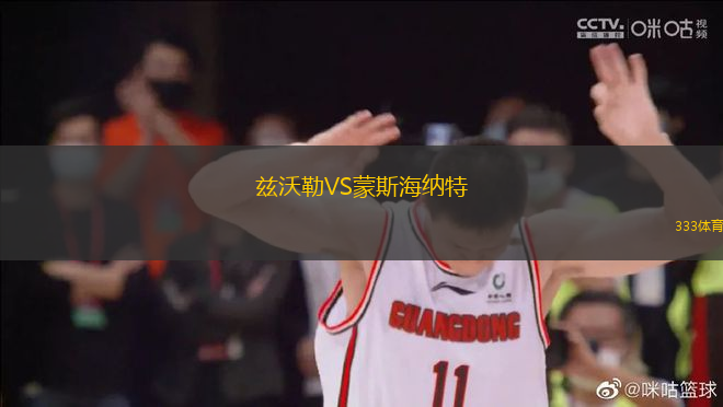 茲沃勒VS蒙斯海納特