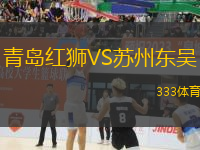 青島紅獅VS蘇州東吳